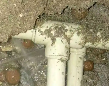 乐陵测漏水多少钱