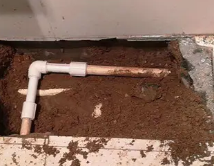 乐陵测漏水哪家好