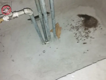 乐陵卫生间测漏水价格明细